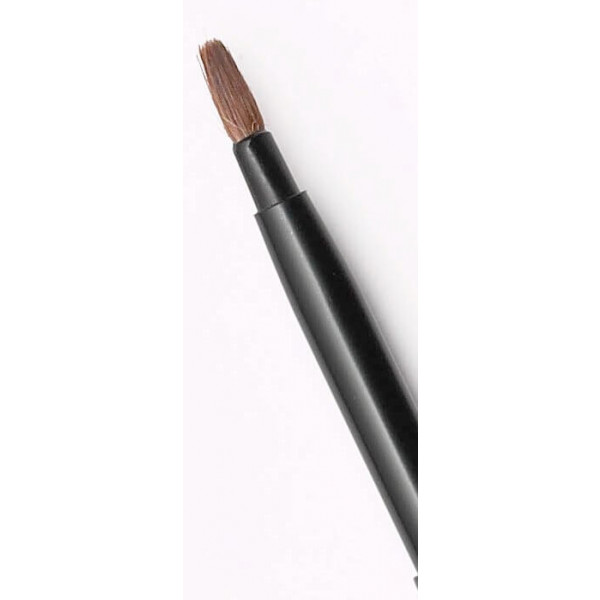 Retractable lip brush